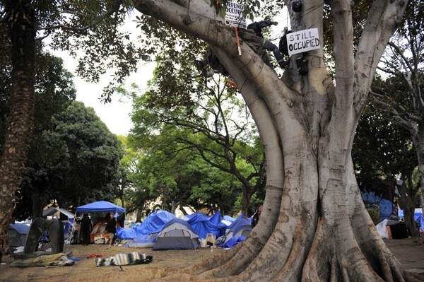occupy-la-tree-sitter2