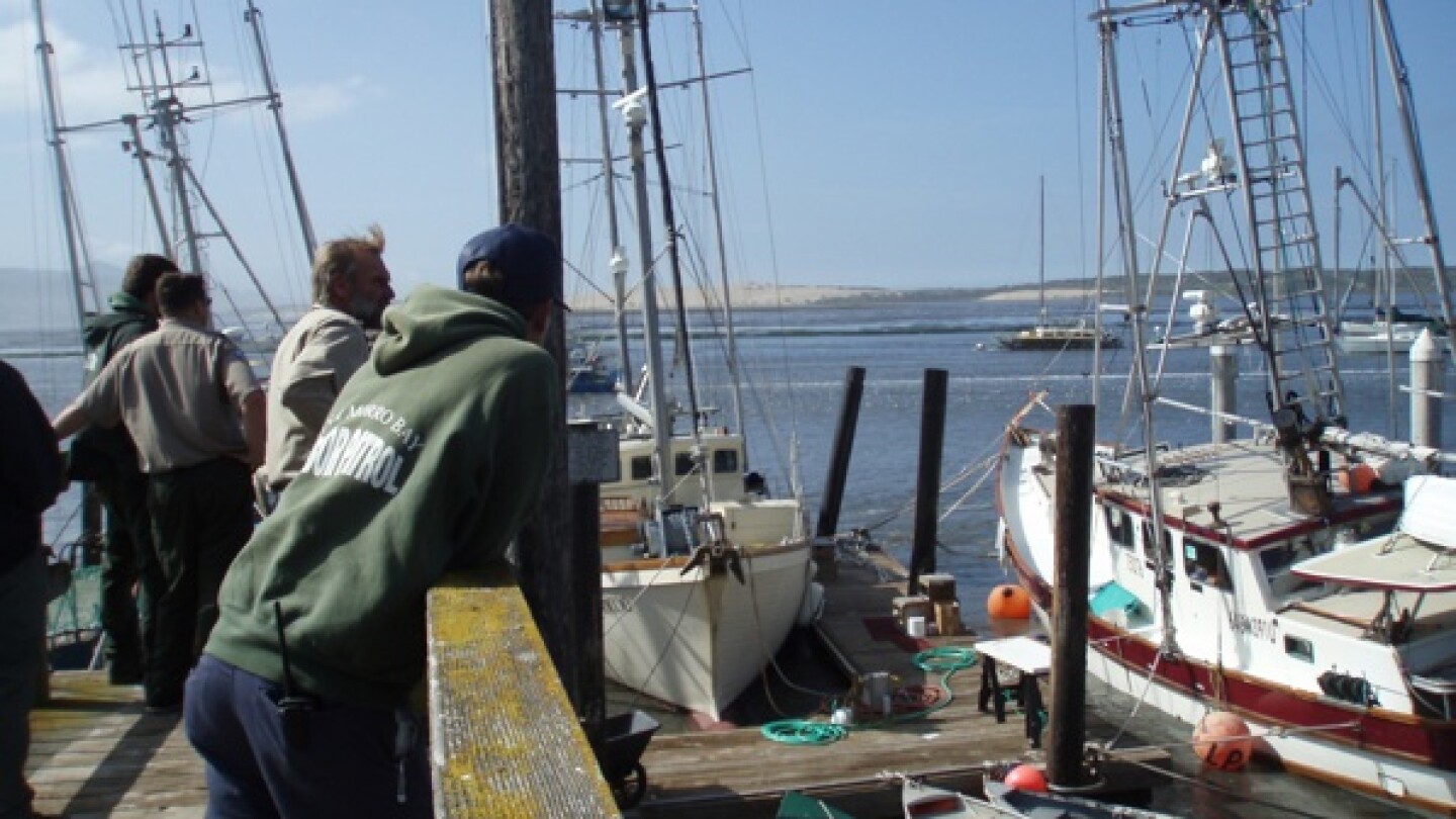 Harbor Patrol and Morro Bay Commercial Fisherman's Organization president Jeremiah O'Brien survey tsunami damage, in progress | Photo by Barbara Stickel