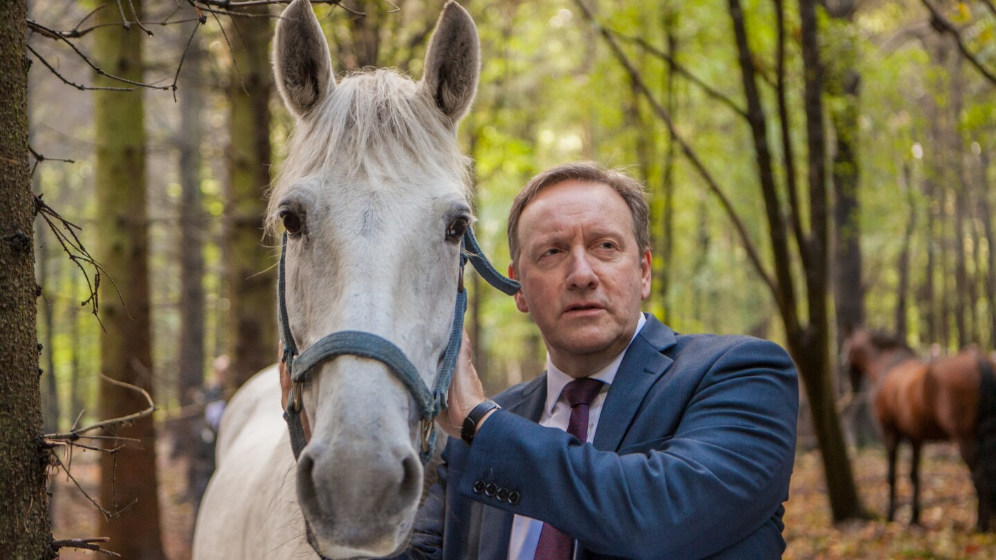 A man looks on with a horse.