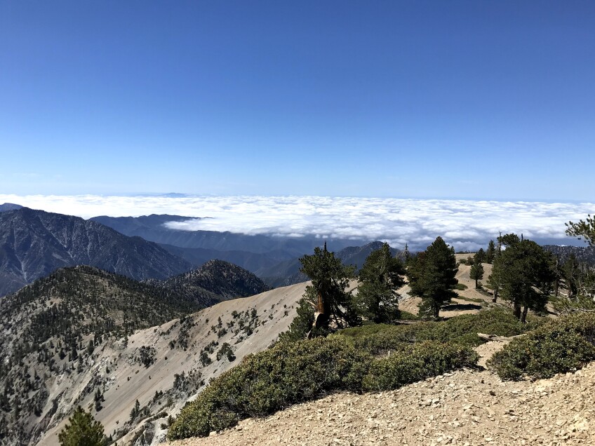 A layer of clouds hover over a mountain.