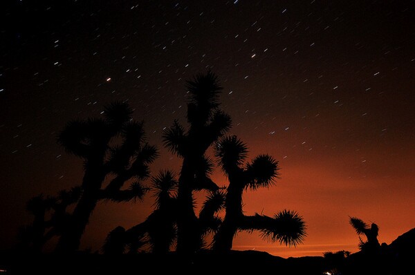 red-rock-stars-10-27-13-thumb-600x398-62635