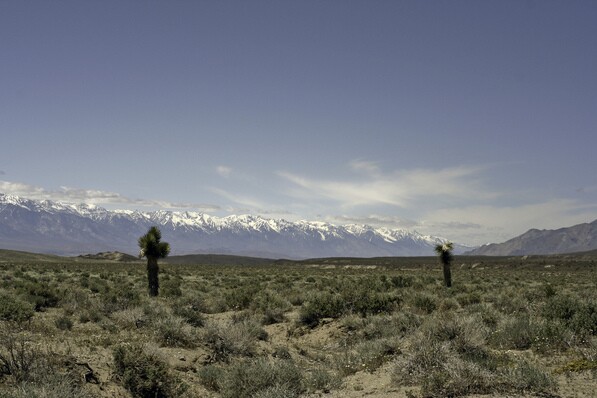 It's the least interesting thing in this photo, and this was taken after a wet winter when it looks better than usual. Photo of Centennial Flat, CA by the author