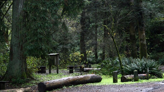 van damme state park