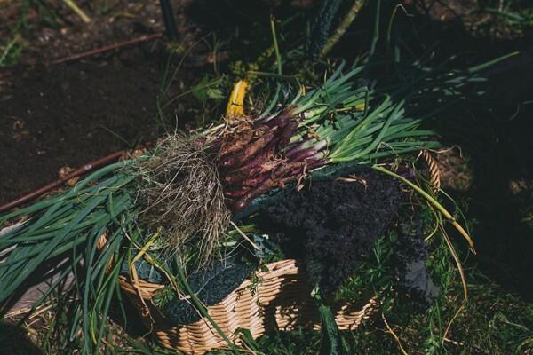 Clarkie Photography