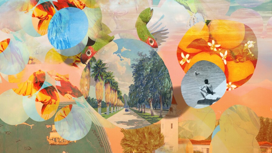 An illustration of ships, parrots, people on the beach rendered in an impressionistic style.