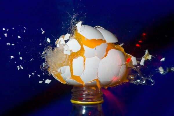 egglawsuit