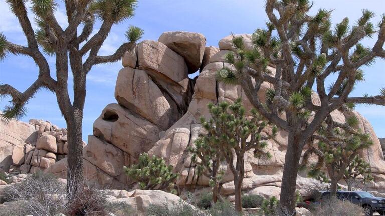 Walkin’ West – Joshua Tree Preview