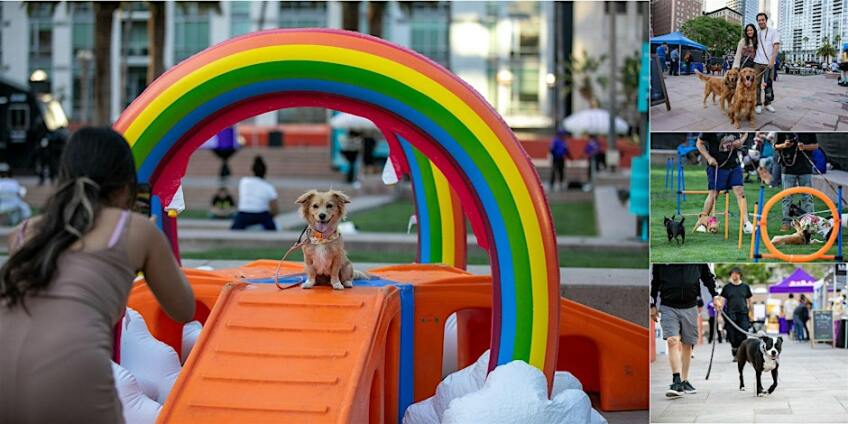 DTLA Dog Day