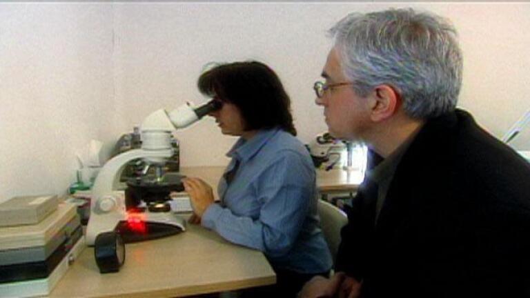 Testing Objects and Finding Experts