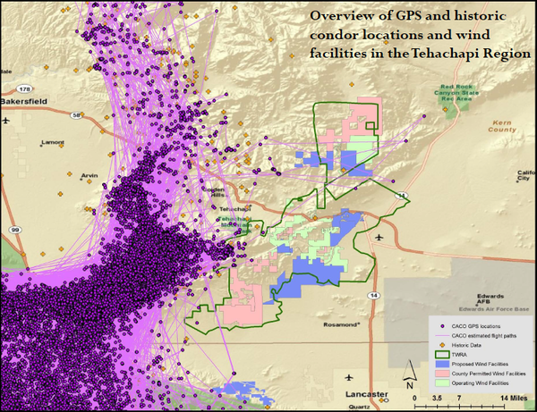 Condor-gps-wind-area-2013-05-13-thumb-600x461-50997