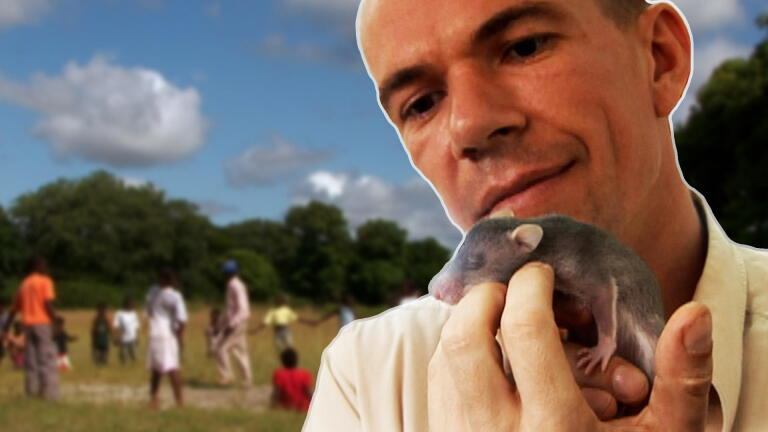 Tanzania: Hero Rats