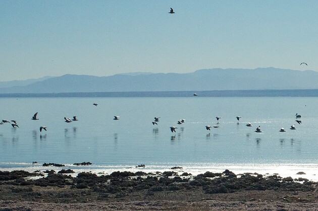 salton-sea-10-15-15-thumb-630x419-98216