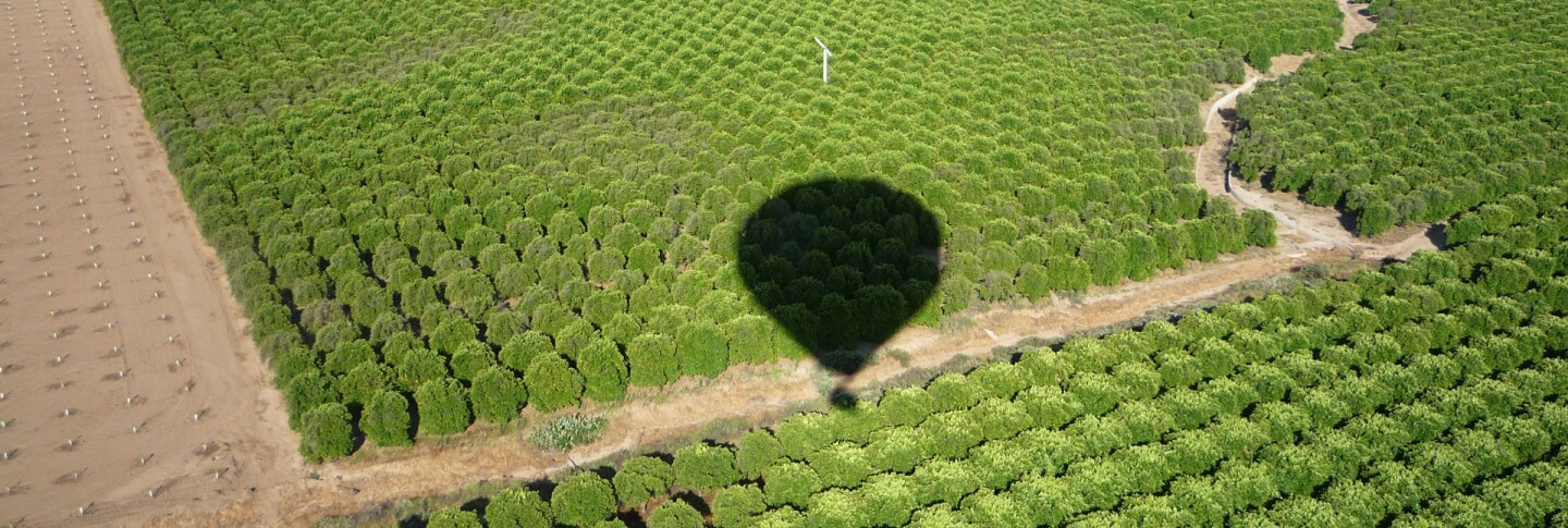 Hot Air Ballooning
