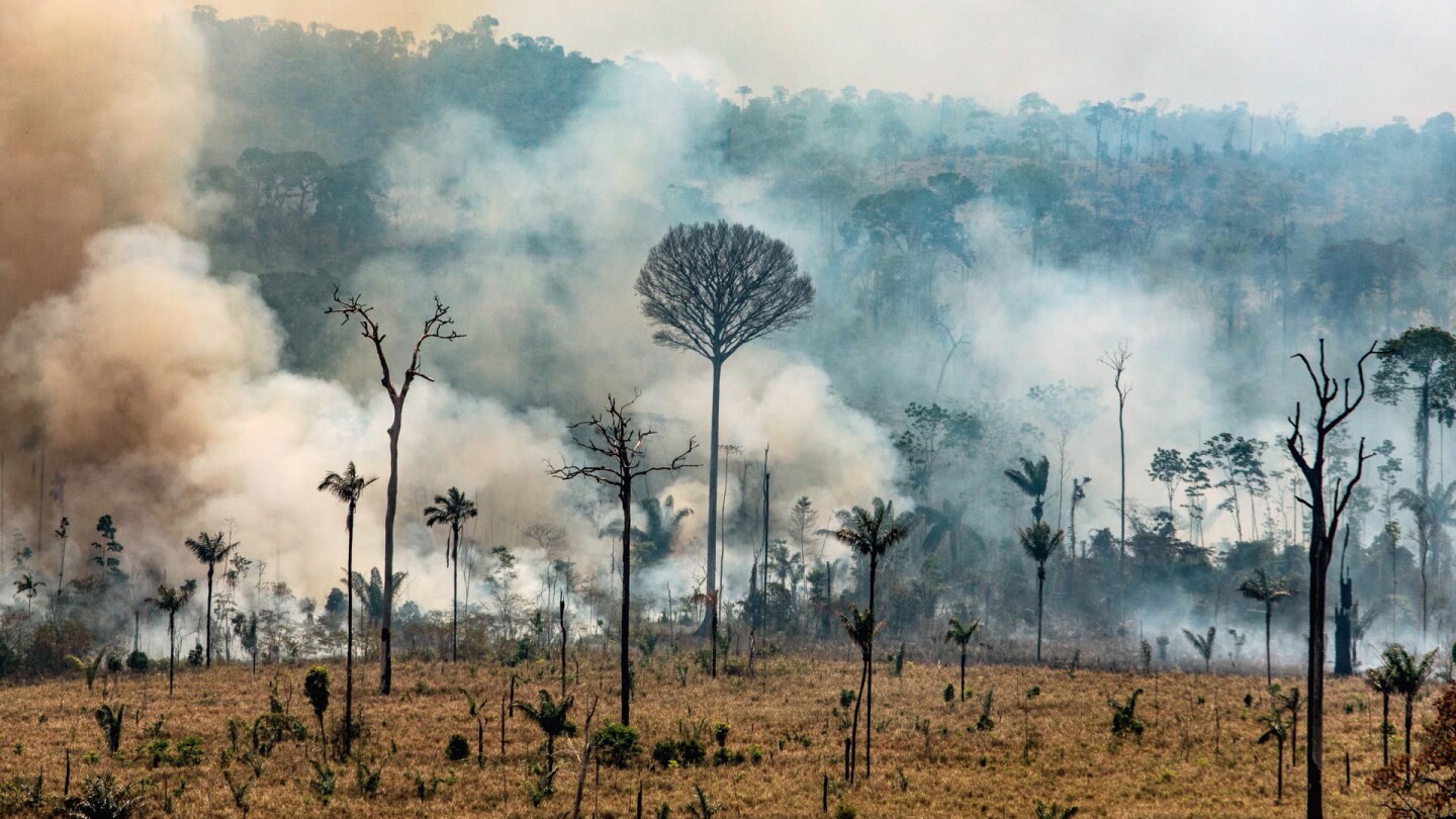 Smoke billows from a fire in the Amazon rainforest. | From "Four Corners: Saving the Amazon"