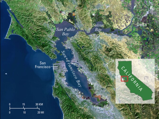 Satellite Detail of the San Francisco Bay, San Pablo Bay and Suisun Bay