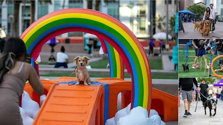 DTLA Dog Day