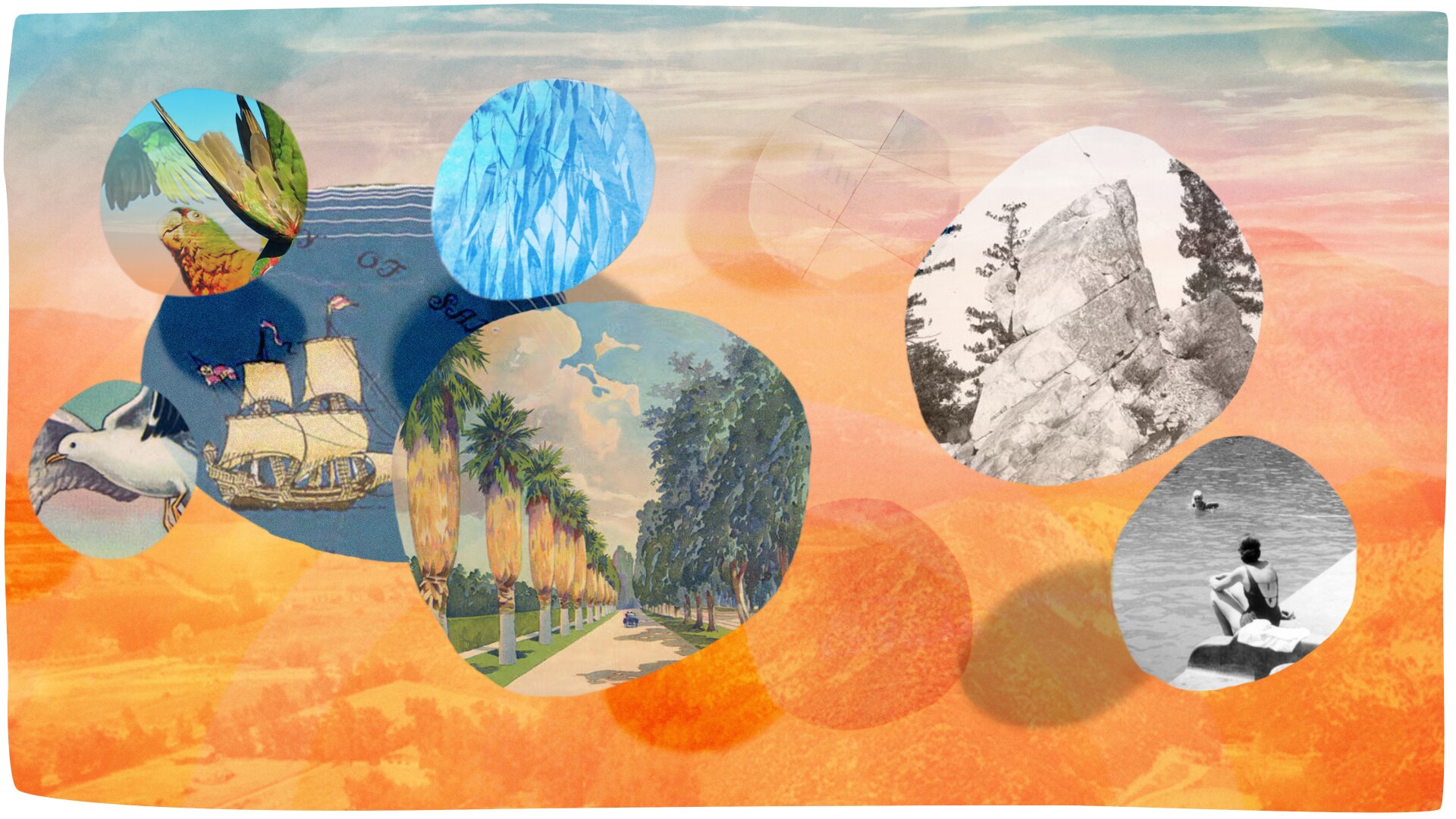 An illustration compositing a ship, a seagull and a woman by the beach