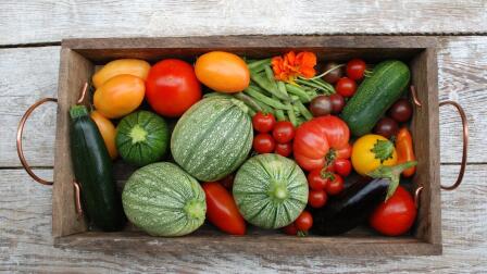 Abundant Harvest