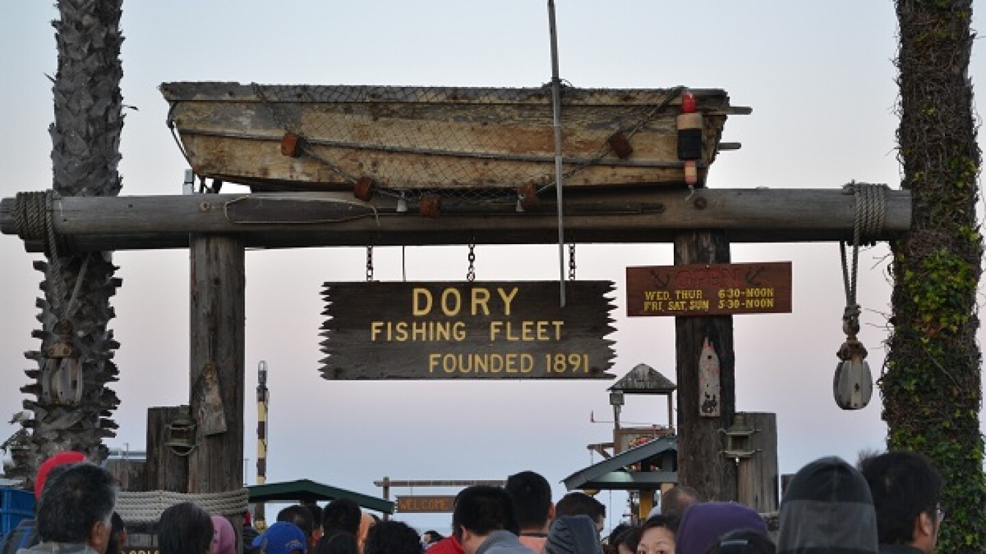 dory_fleet_welcome.jpg