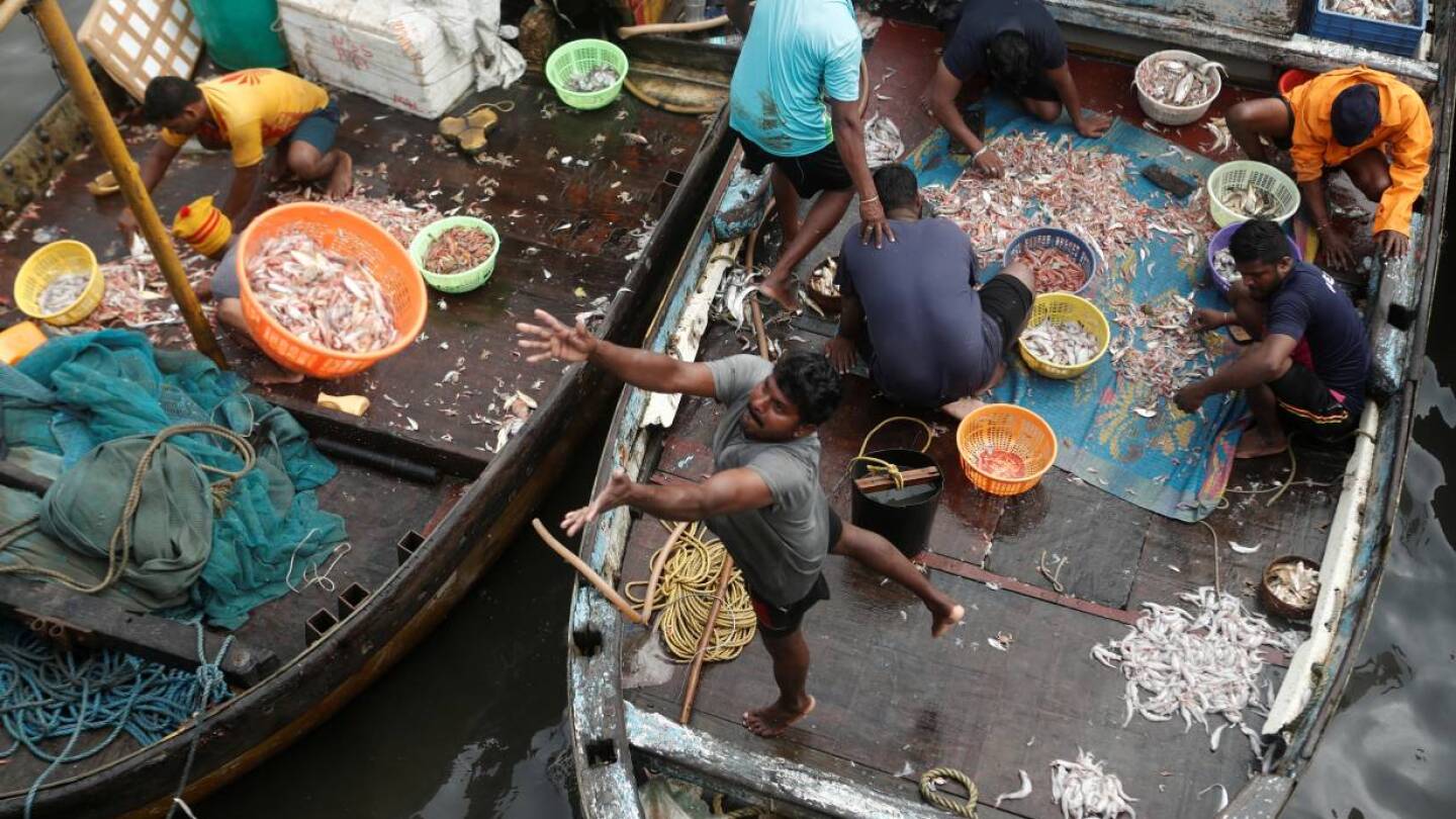 A fisherman throws a basket filled with fish to customers at a fish market amidst the spread of the coronavirus disease (COVID-19) in Mumbai, India, September 7, 2020. | REUTERS/Francis Mascarenhas