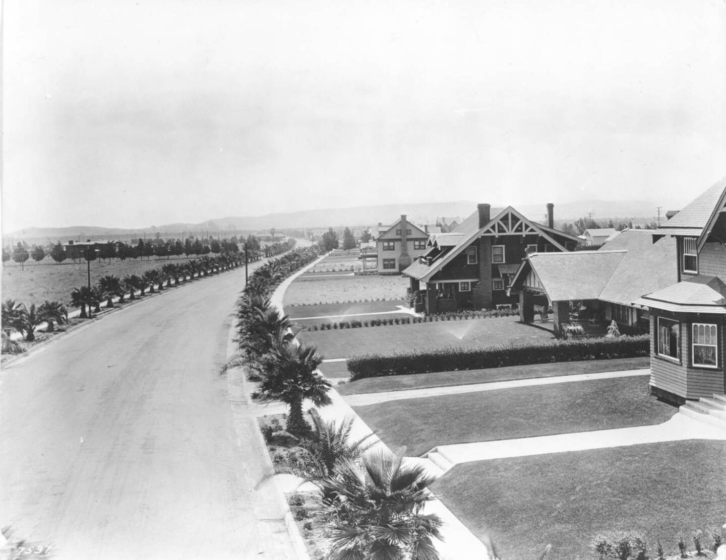 Young palms line Canon Drive in Beverly Hills, circa 1918. Courtesy of the Title Insurance and Trust / C.C. Pierce Photography Collection, USC Libraries.