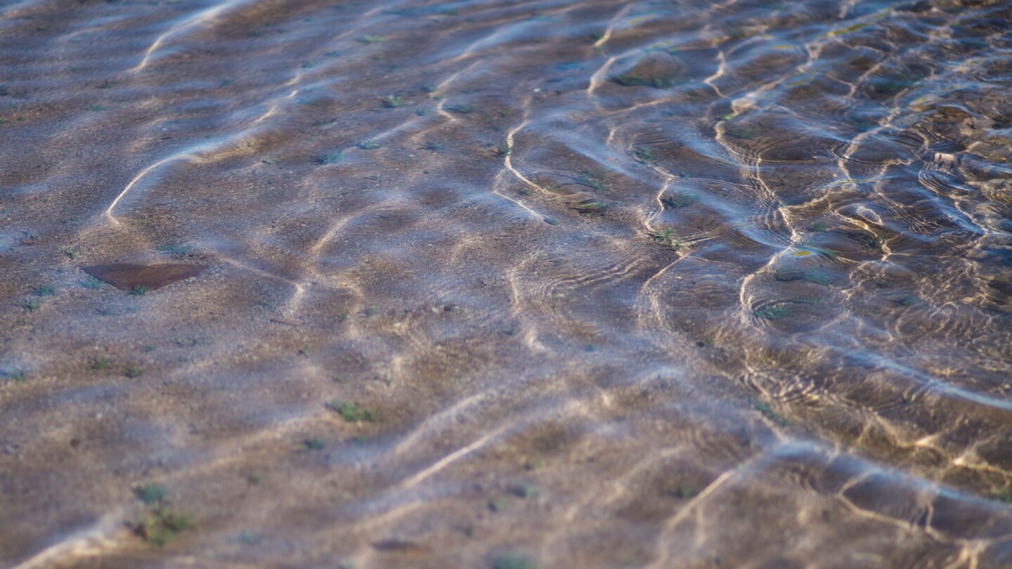 Water from a percolating pond that tests the permeability of water on Cadiz, Inc.'s property in Cadiz, CA., on Wednesday, Feb. 6, 2019. | Jenna Schoenefeld for The Washington Post via Getty Images
