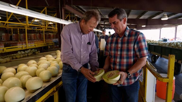 Sweet Cantaloupes