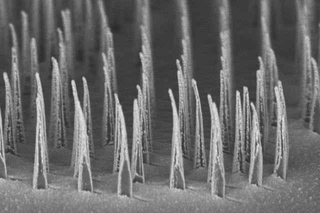Paul Weiss on Nanostructures