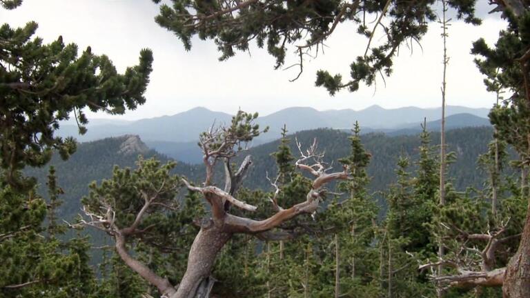 Colorado’s Rocky Mts. – Challenges, Changes
