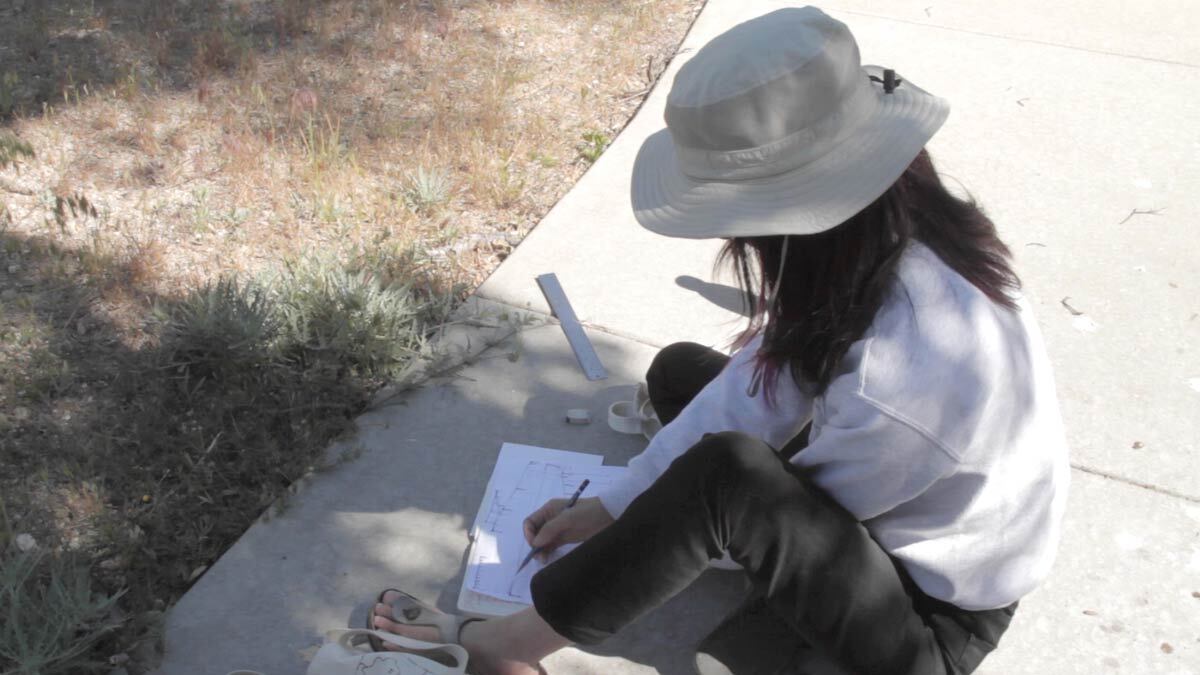 Gloria Lee on the ground drawing at the Oak Grove site for "Three Border Ecologies" | Courtesy of Hillary Mushkin