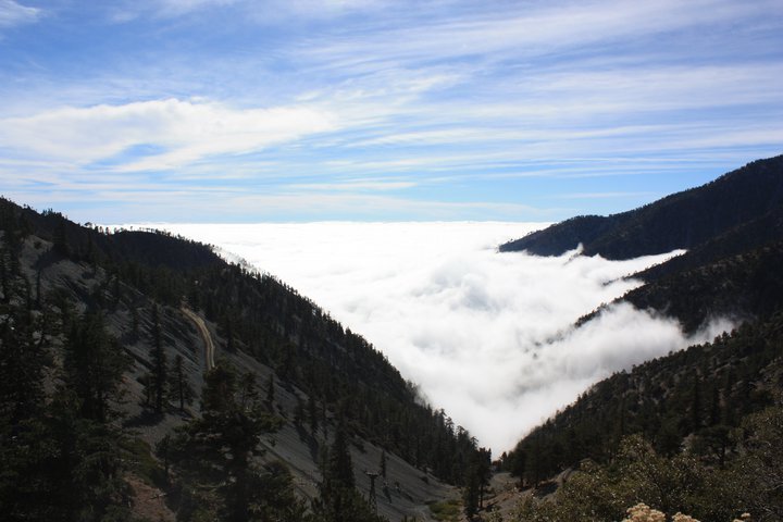 Top of the Notch
