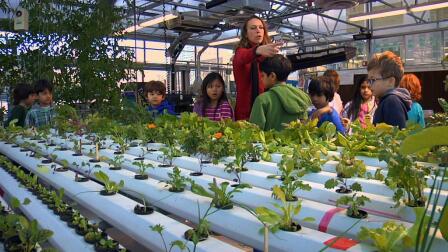 Greenhouse Labs Spur Student Learning on Manhattan Rooftops