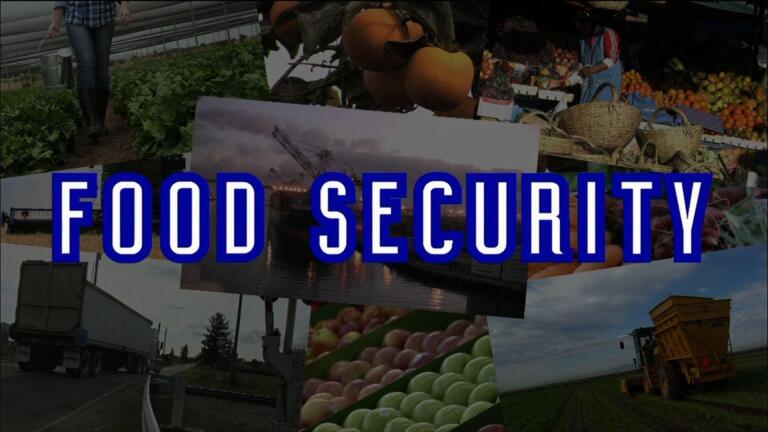 Food Security