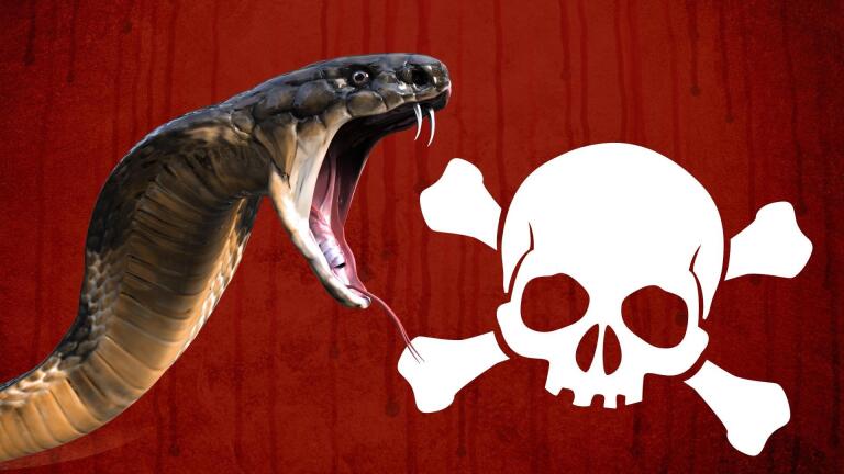 Why Are Some Animals Venomous?