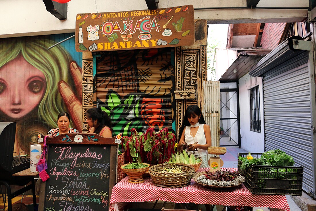 Fresh produce stand and Oaxacan food at the Tijuana Zine Fest | Samanta Helou Hernandez