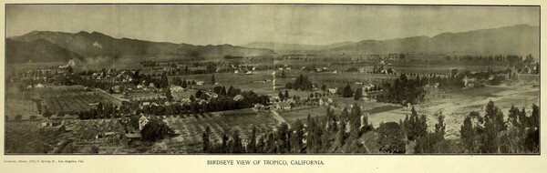 Circa 1903 panoramic view of the town of Tropico. From the brochure 'Tropico,' courtesy of the Glendale Public Library's Promotional Brochures of Tropico and Early Glendale.