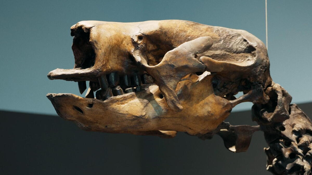 Watch Fossils in the Asphalt: Unearthing LA