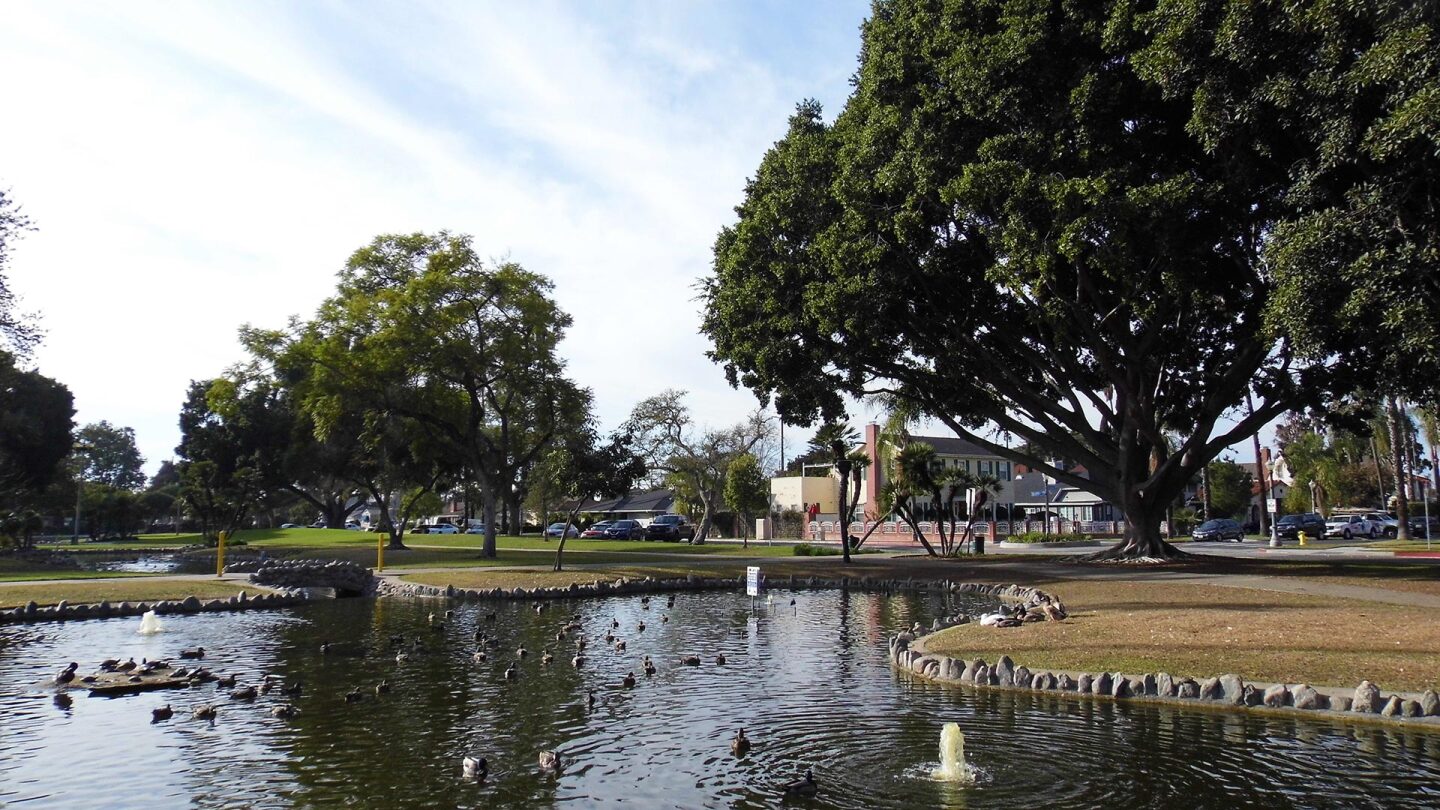 The Pearson Pond at Pearson Park in Anaheim, CA was part of the park's original design.