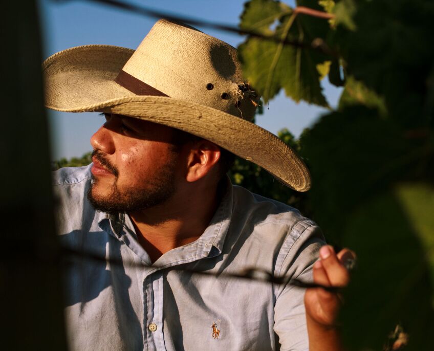 Fidencio Flores stands amongst grape vines. He's wearing a cowboy hat and a button-up shirt.