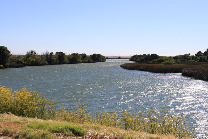 Delta Waterways and Bends