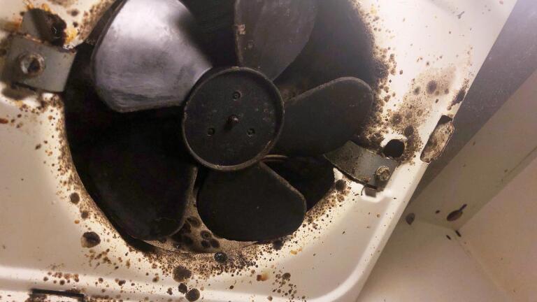 Families sound alarm on toxic mold in military housing