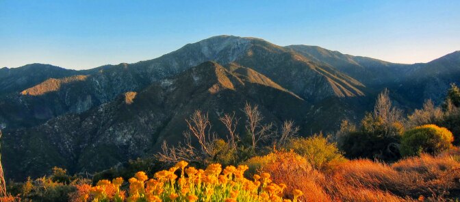 mount baldy banner