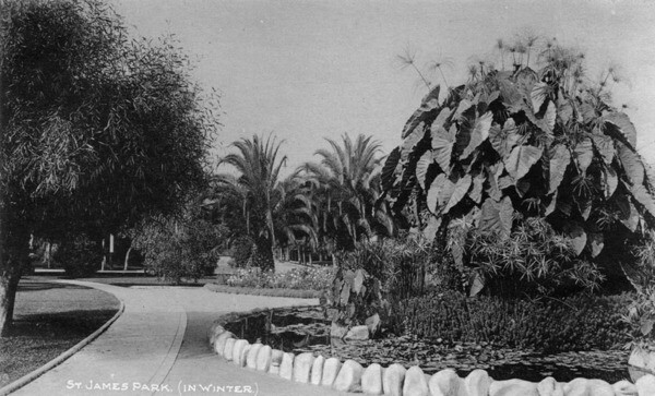 An early view of St. James Park in West Adams. Courtesy of the Photo Collection, Los Angeles Public Library.