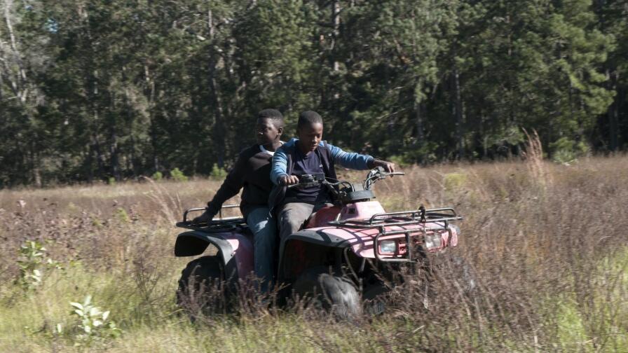 Sapelo