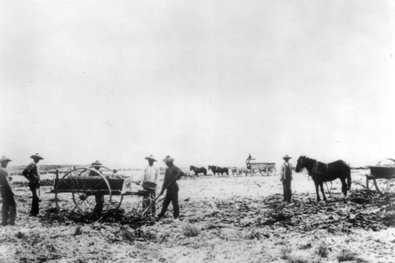 Harmony Borax Works Chinese laborers