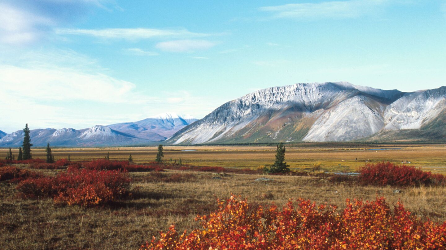 An undated photo of the Arctic National Wildlife Refuge in Alaska. | Steven Chase/U.S. Fish and Wildlife Service via Getty Images