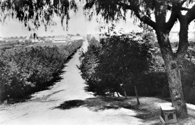 Circa 1885 view of Colorado Boulevard, then named Colorado Street, looking east toward Pasadena's central business district. Courtesy of the USC Libraries - California Historical Society Collection.
