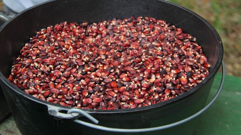 Seeds