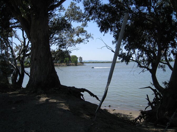 Waterway with Trees in Foreground and Power Boat in Distance