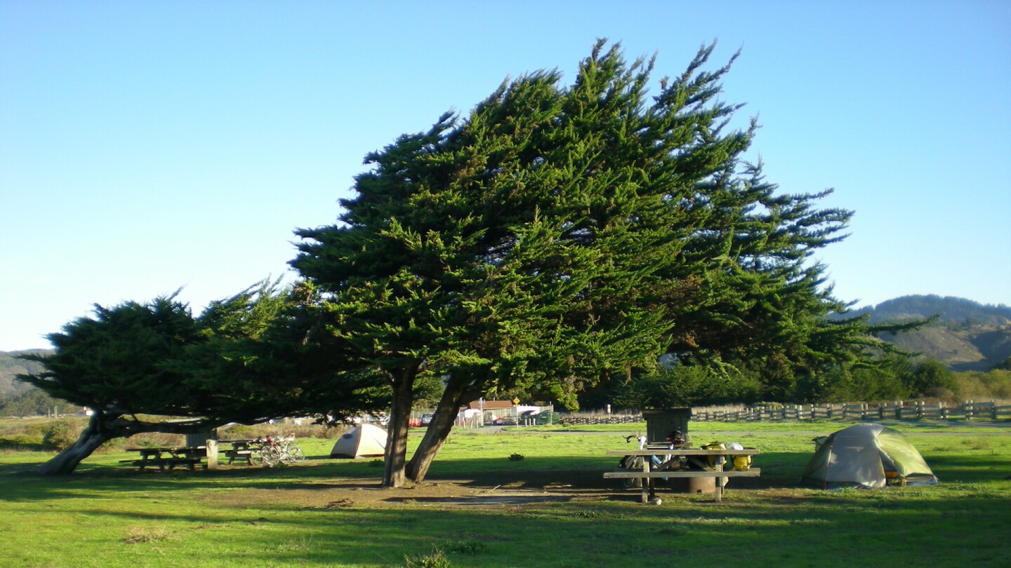 half moon bay camp